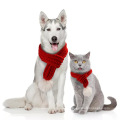 Pet Cat Hund Hut Kopfbedeckung Schal Cape Pet Kostüm Neujahr Umhang Weihnachtskleidung